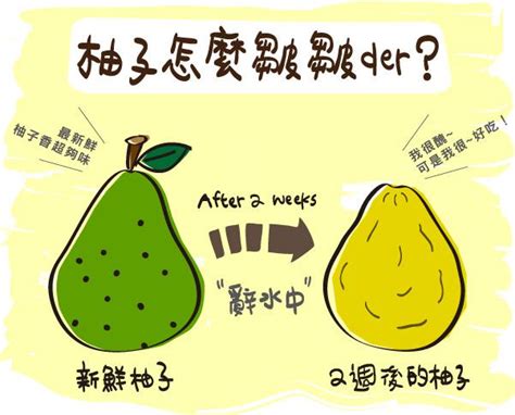 辭水 台語|為了使柚子變得更好吃「辭水」這一步就必不可少。 甚麼是「辭。